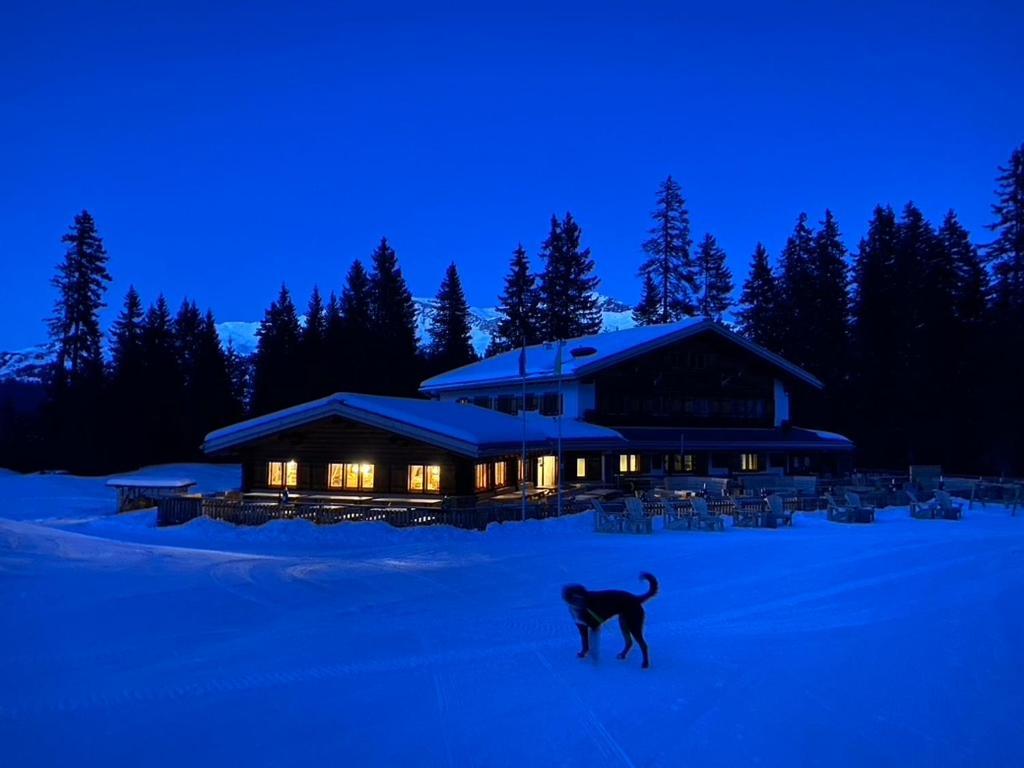 Vila Erezsaesshuette Klosters Exteriér fotografie
